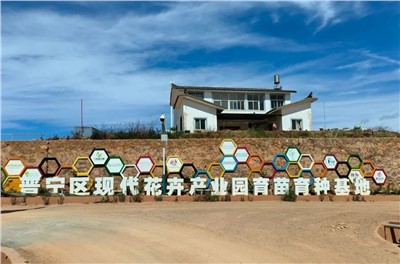 【案例故事】享誉天下的春城花都，，，，，HGA010安装包助力云南晋宁走出“芳香”致富路