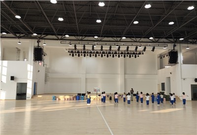聚会扩声系统优化：解决杂音与笼罩难题，，，，，，，提升聚会效率